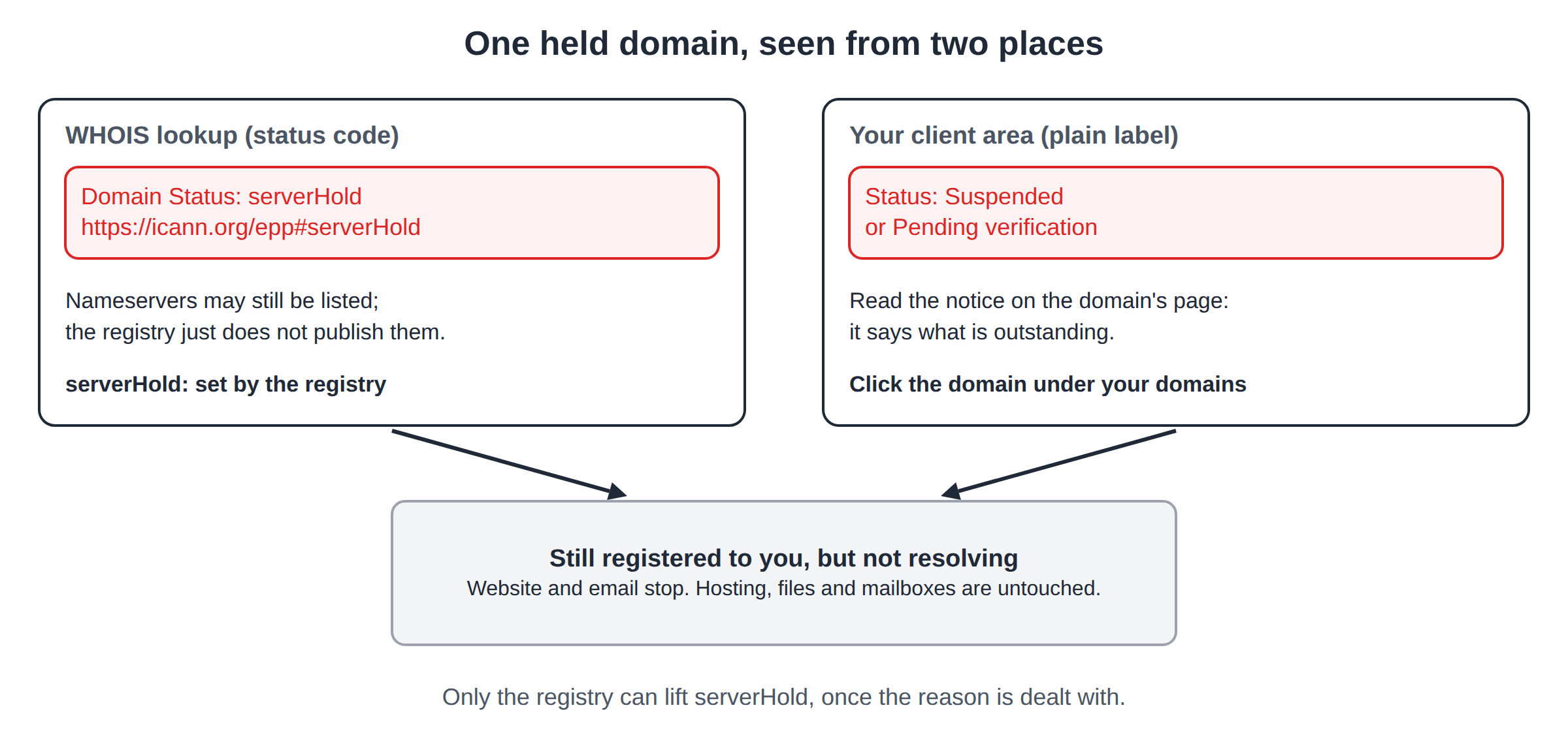 A WHOIS result showing Domain Status serverHold next to the client area label Suspended or Pending verification, both meaning the domain is registered but not resolving