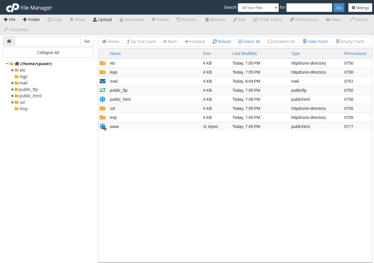 cPanel File Manager in the home folder: toolbar with Upload, Edit, Extract and more, folder tree on the left, and etc, mail and public_html listed